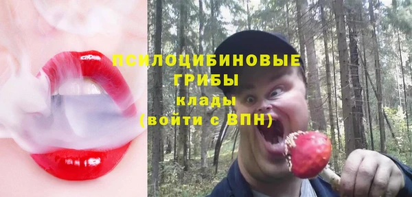 а пвп мука Богданович